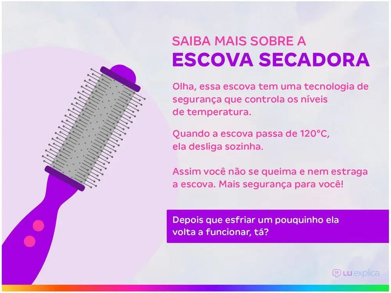 Secador e Escova Para Cabelos Molhados